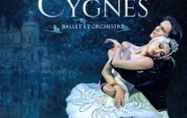 Le Lac des Cygnes