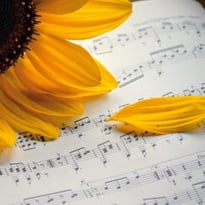 Mardis Musicaux Du Conservatoire