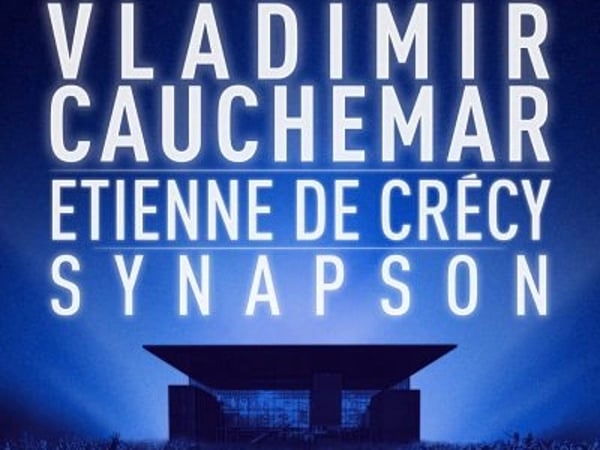 Vladimir Cauchemar et Étienne de Crécy Synpason