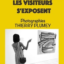 Les Visiteurs S'Exposent