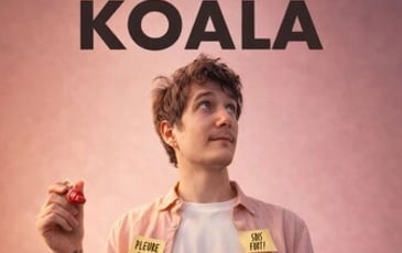 Koala