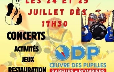 Concerts ODP et Festival des Oiseaux