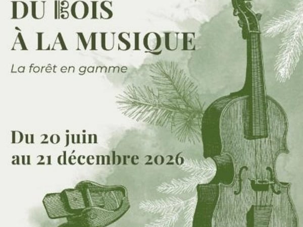 Du bois à la musique, la forêt en gamme