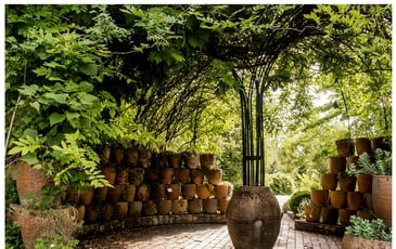 Visite libre du jardin botanique de Marnay-sur-Seine