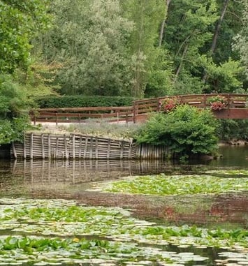 Promenez-vous dans le patrimoine naturel du parc Pierre Pitois