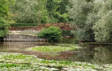 Promenez-vous dans le patrimoine naturel du parc Pierre Pitois