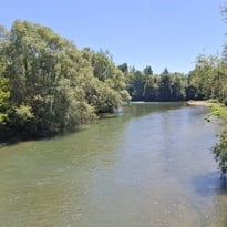 Randonnée commentée sur les bords de Seine
