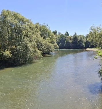 Randonnée commentée sur les bords de Seine