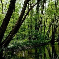 La vienne d'antan au cœur de Troyes