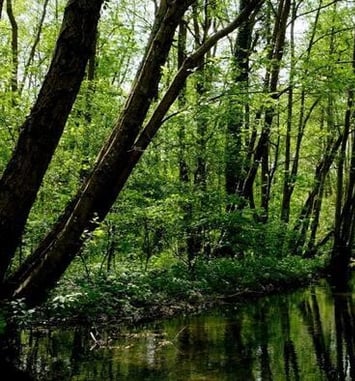 La vienne d'antan au cœur de Troyes