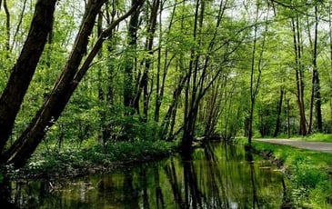 La vienne d'antan au cœur de Troyes