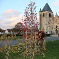 Venez découvrir une église de style champenois flamboyant
