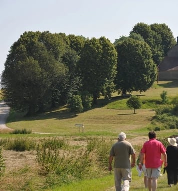 Champignol au temps des comtes de Champagne