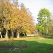 Balade commentée d'un patrimoine naturel tricentenaire