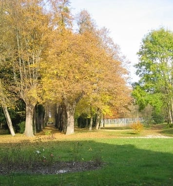 Balade commentée d'un patrimoine naturel tricentenaire