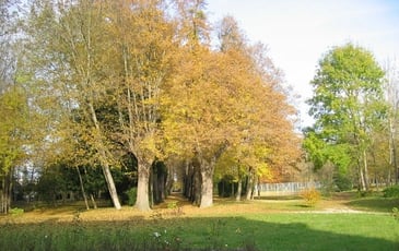 Balade commentée d'un patrimoine naturel tricentenaire