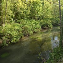 Découvrez le parc de la Rochefoucauld, Espace Naturel Sensible