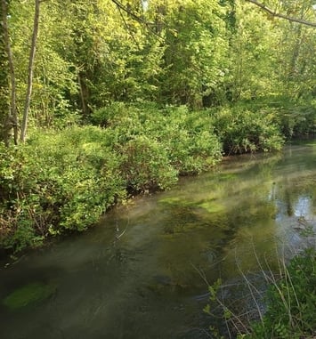 Découvrez le parc de la Rochefoucauld, Espace Naturel Sensible