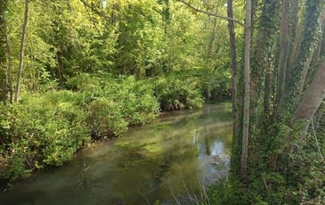 Découvrez le parc de la Rochefoucauld, Espace Naturel Sensible