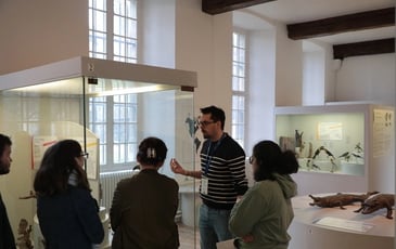 Médiations flash: Les espèces en danger du muséum