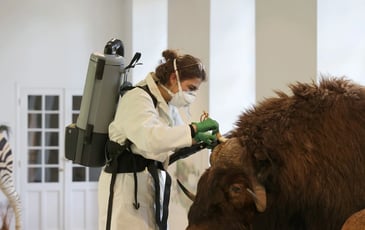 Rencontre avec la conservatrice du musée