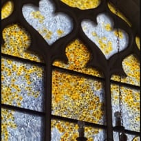 Admirez les vitraux de l'église Saint-Luc