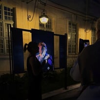 Découvrez l'exposition "Nouvelles reines"