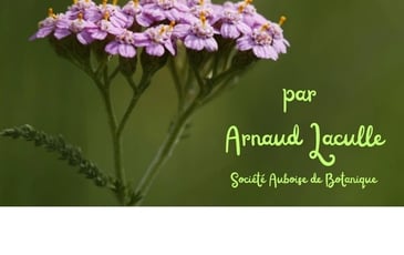 Exposition sur la flore des jardins