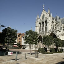 Découvrez en famille les vitraux d'une basilique