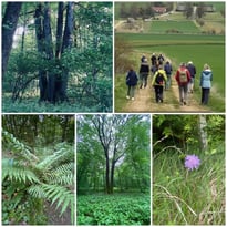 Partez à la découverte du patrimoine paysager et forestier