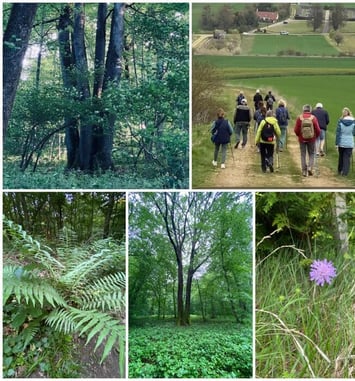 Partez à la découverte du patrimoine paysager et forestier