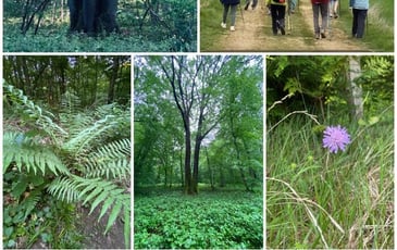 Partez à la découverte du patrimoine paysager et forestier
