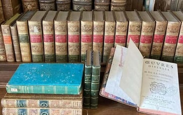 Patrimoine en péril, les ennemis du livre