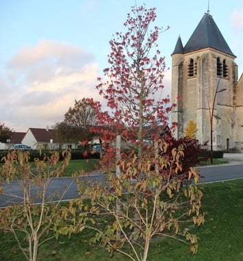 Visite guidée de l'église de Saint-Parres-aux-Tertres et de sa nécropole gallo-romaine. Histoire contée de la vie de saint Patrocle.