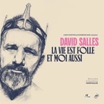 David Salles, La Vie est Folle et Moi Aussi