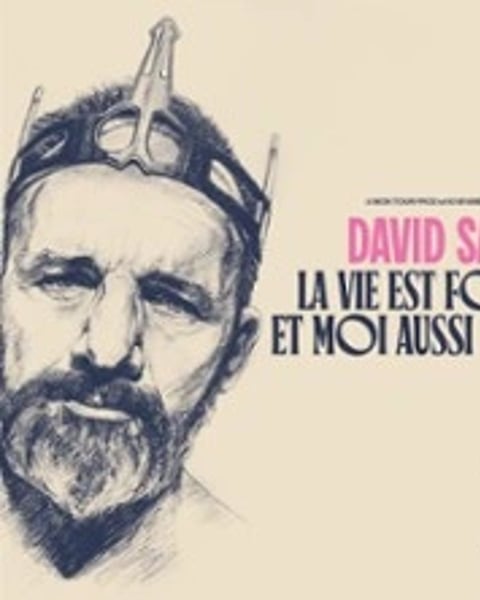 David Salles, La Vie est Folle et Moi Aussi