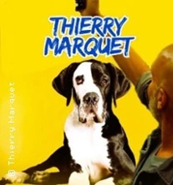 Thierry Marquet, Foutage de Gueule ?