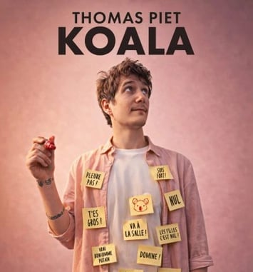 Koala de Thomas Piet