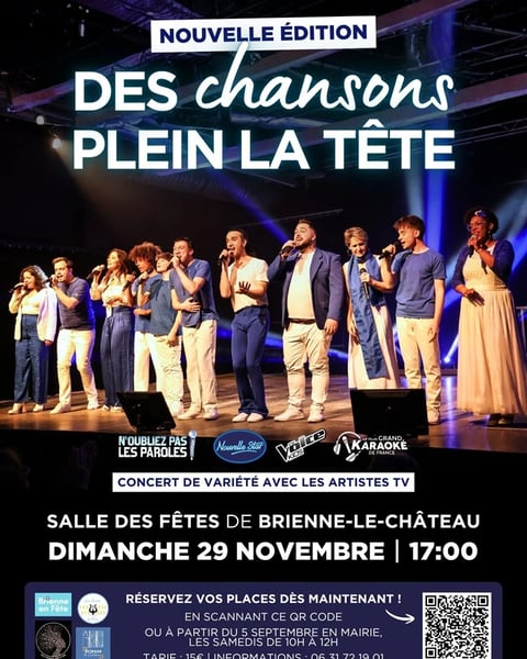 Des chansons plein la tête