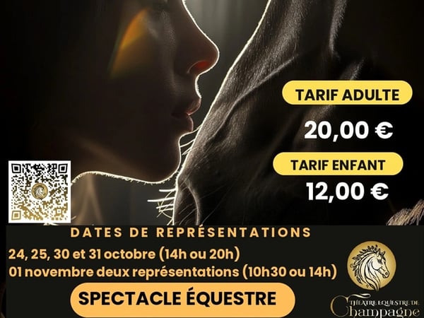 Spectacle équestre "Namari"