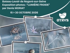 Nogent-sur-Seine